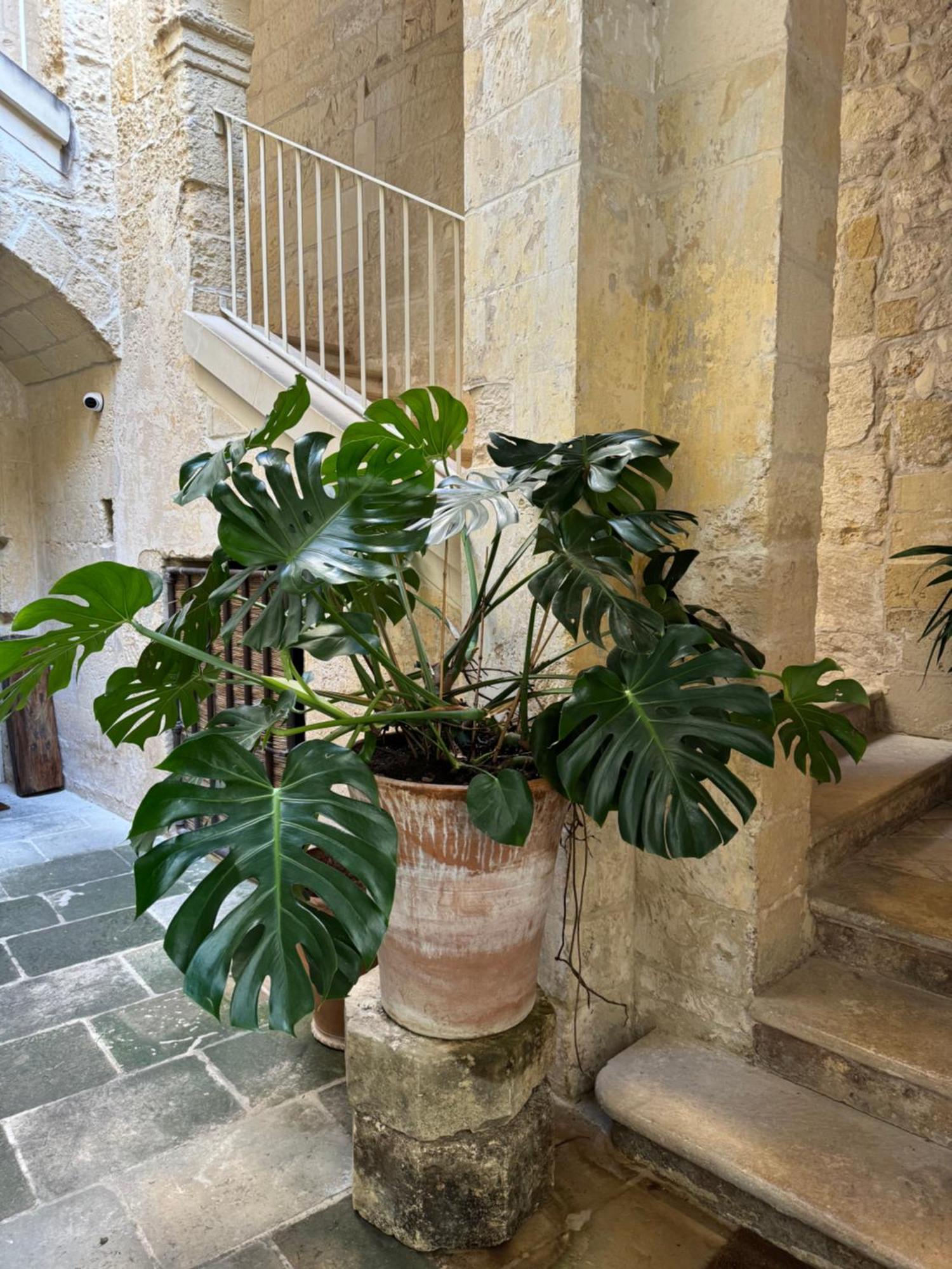 Appart hôtel Luleccio *